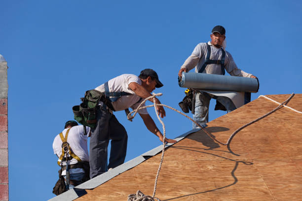 Roof Gutter Cleaning in Montclair, VA