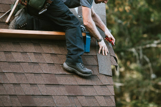 Best Roof Gutter Cleaning  in Montclair, VA